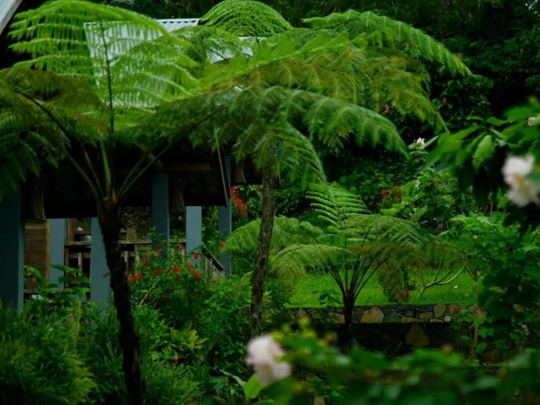 The Geckos Homestay كيليموتو المظهر الخارجي الصورة