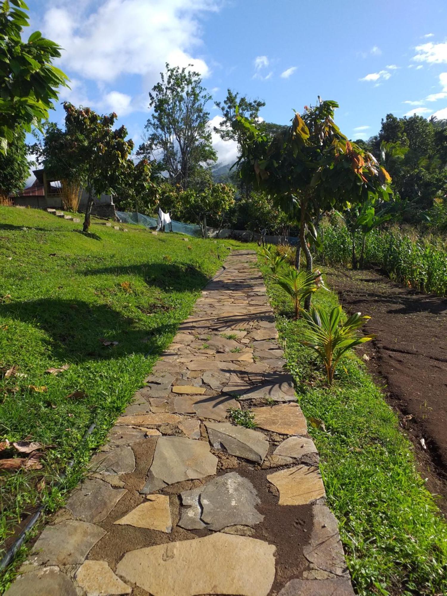 The Geckos Homestay كيليموتو الغرفة الصورة
